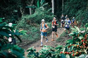 BIB: 
                            <button type="button" onclick="openModal(25800354)" class="btn btn-primary btn-sm float-right btn-popup" data-toggle="modal" data-target=".modal-high-quality">
                        <i class="fas fa-shopping-cart"></i> Add to Cart
                    </button>
                                            <button type="button" onclick="isThisMe(25800354, true)" class="btn btn-success btn-sm float-right btn-popup btn-isme hidden" data-toggle="tooltip" data-placement="bottom" title="นี่คือรูปของคุณใช่ไหม คลิกที่นี่เพื่อเอาเข้าอัลบั้ม">
                        <i class="fas fa-plus"></i> Add to album
                    </button>
                    <button type="button" onclick="isThisMe(25800354, false)" class="btn btn-warning btn-sm float-right btn-popup btn-isnotme hidden">
                        <i class="fas fa-ban"></i> Remove from album
                    </button>